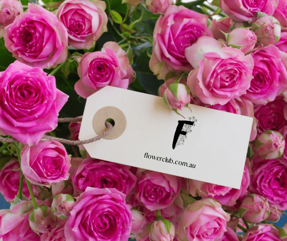 Flower Club
