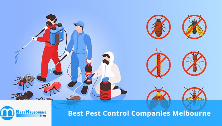 Best Pest Control Companies Melbourne