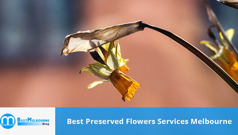 Best Preserved Flowers Services Melbourne
