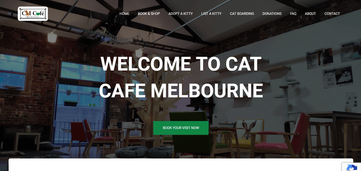 cat cafe Melbourne