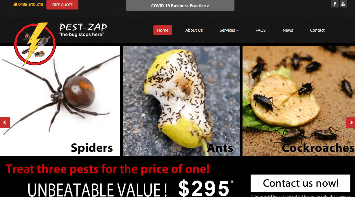 pest zep