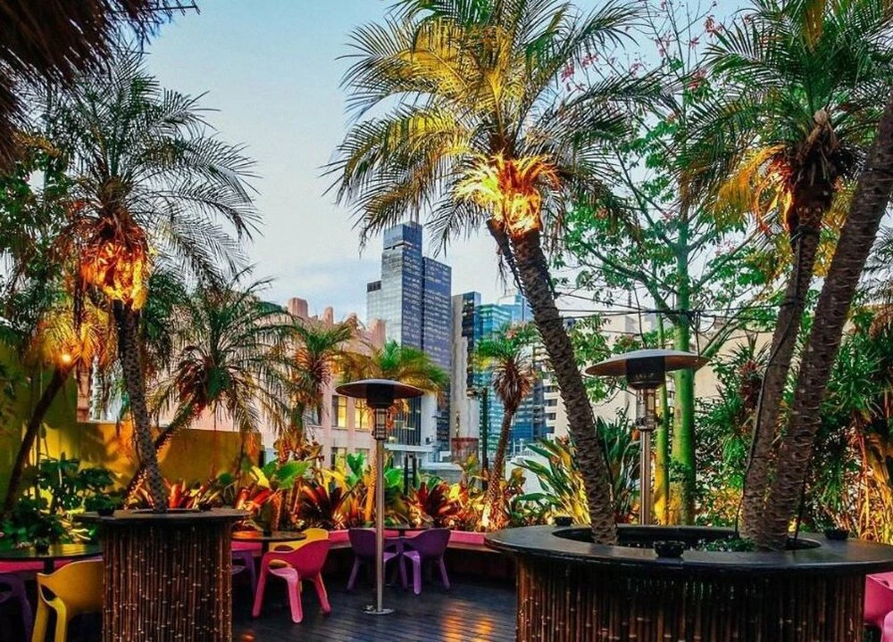Palmz Rooftop
